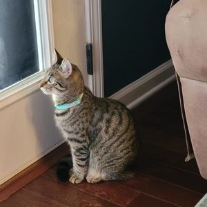 Meet your Posher, Edith